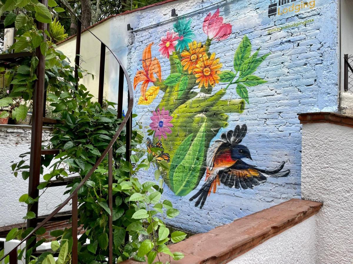 Mi Zona Lodging Coyoacan Mexikóváros Kültér fotó