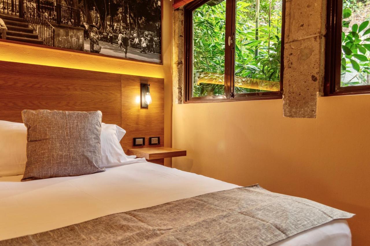 Mi Zona Lodging Coyoacan Mexikóváros Kültér fotó