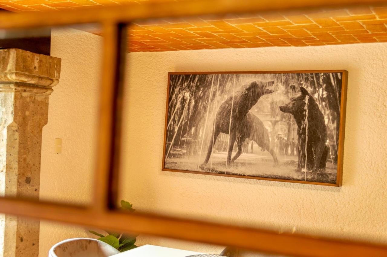 Mi Zona Lodging Coyoacan Mexikóváros Kültér fotó